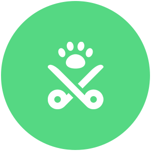 pet wellness icon