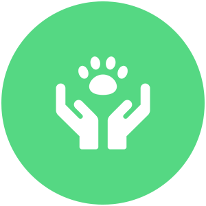 pet wellness icon