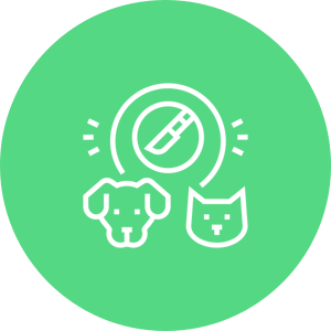 pet wellness icon