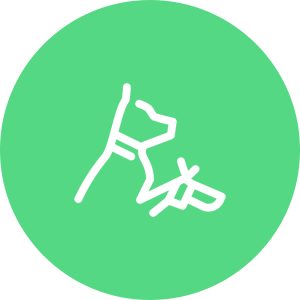 pet wellness icon