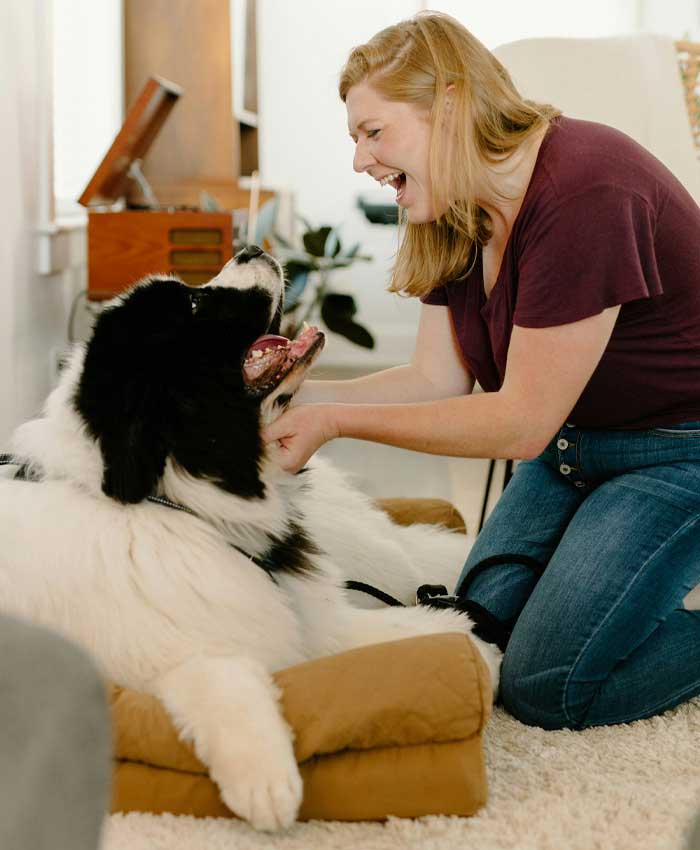 A happy dog with owner